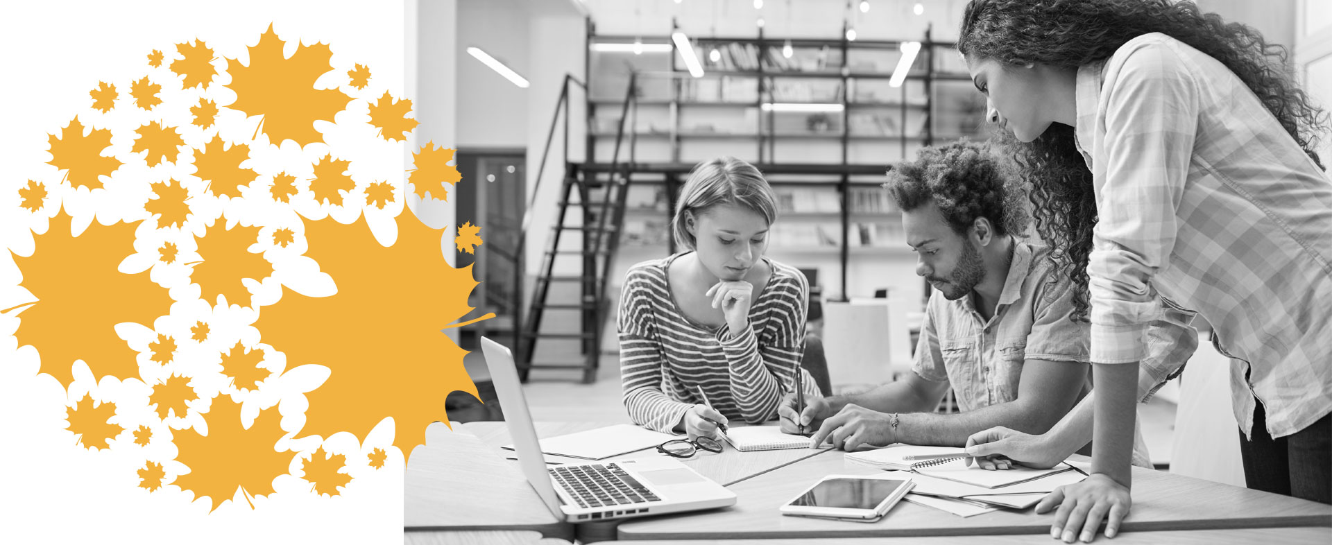 bureau-etuides Bureau d'études CEPGO