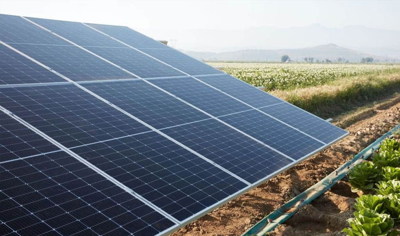 panneausolaire-agricole